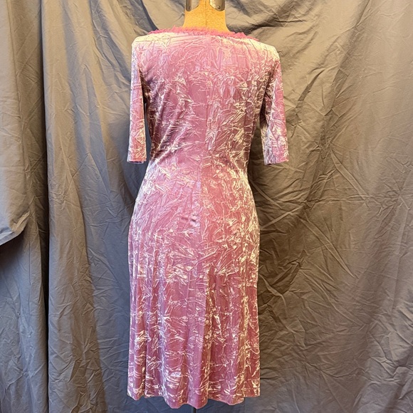 Pink Lace-Trim Soft Crushed Velvet Betsey Johnson Dress with Rose Appliques - Picture 4 of 5